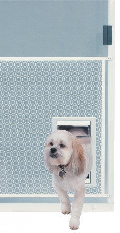 Ideal Pet Screen Guard Pet Door