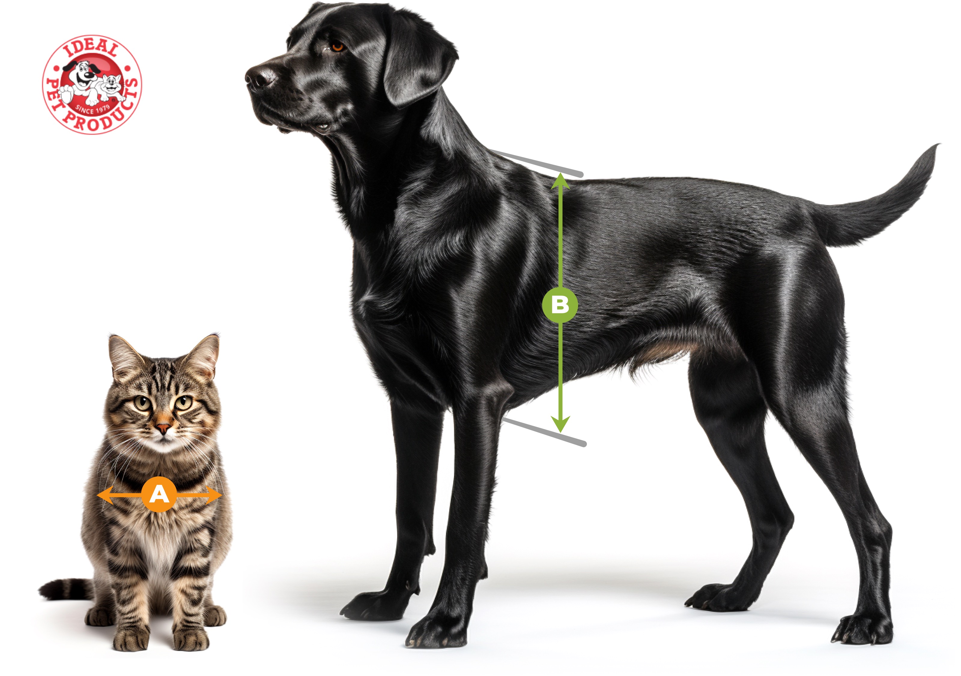 How to measure your Ideal Pet How to measure your Ideal Pet